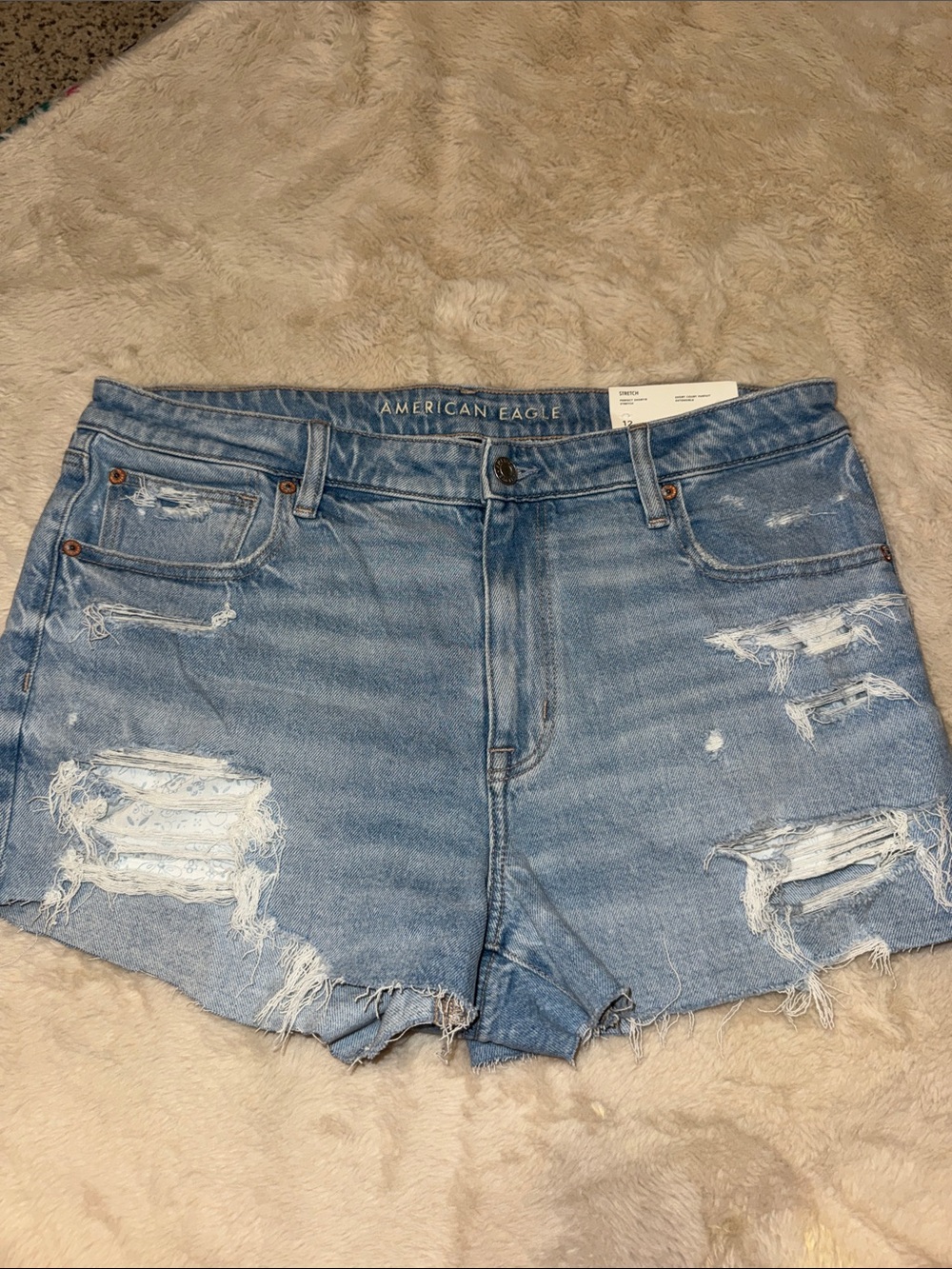 American Eagle Outfitters Light Wash Distressed Denim Shorts